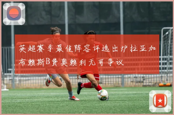 英超赛季最佳阵容评选出炉拉亚加布赖斯B费奥赖利无可争议